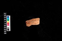 藏品(罐口)的圖片