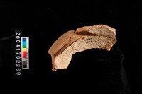 藏品(罐口)的圖片