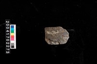 藏品(罐口)的圖片