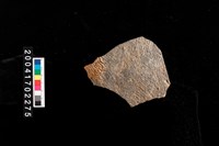 藏品(繩紋腹片)的圖片