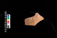 藏品(繩紋腹片)的圖片