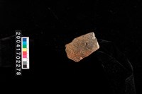 藏品(繩紋腹片)的圖片