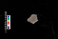 藏品(繩紋腹片)的圖片