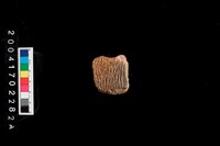 藏品(繩紋腹片)的圖片