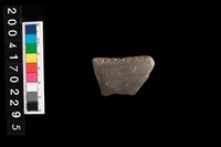 藏品(缽口-帶紋)的圖片