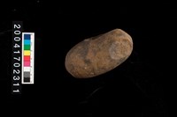 藏品(石錘)的圖片