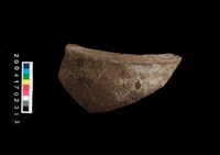 藏品(缽口)的圖片