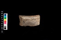 藏品(缽口)的圖片