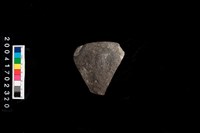 藏品(缽口)的圖片