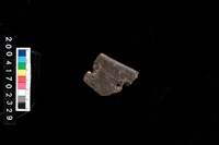 藏品(缽口)的圖片