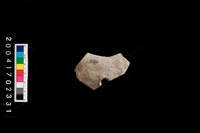 藏品(缽口)的圖片