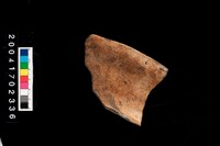 藏品(罐口)的圖片