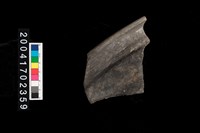 藏品(翻沿盆口)的圖片