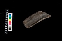 藏品(翻沿盆口)的圖片