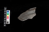 藏品(翻沿盆口)的圖片