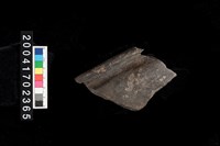 藏品(翻沿盆口)的圖片