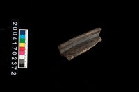 藏品(翻沿盆口)的圖片