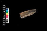 藏品(翻沿盆口)的圖片