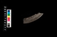 藏品(翻沿盆口)的圖片