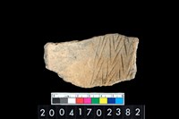 藏品(腹片-素面)的圖片