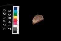 藏品(不明獸骨)的圖片