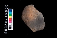 藏品(腹片-素面)的圖片