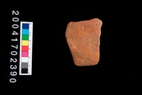 藏品(腹片-素面)的圖片