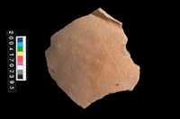 藏品(腹片-素面)的圖片