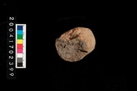 藏品(陶支腳)的圖片