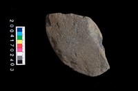 藏品(石斧)的圖片