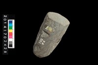 藏品(石錛)的圖片