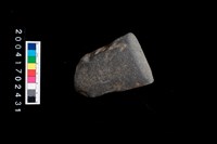 藏品(石錛)的圖片