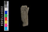 藏品(不明石器)的圖片