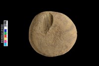 藏品(石錘)的圖片