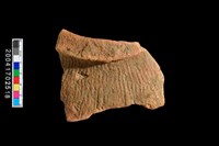 藏品(繩紋罐口)的圖片