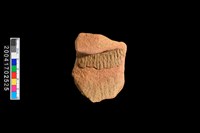 藏品(繩紋罐口)的圖片