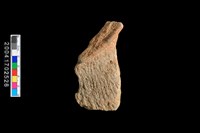 藏品(繩紋罐口)的圖片