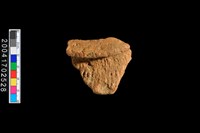 藏品(繩紋罐口)的圖片