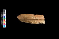 藏品(繩紋罐口)的圖片