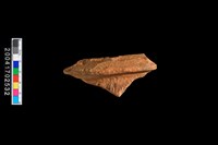 藏品(繩紋罐口)的圖片