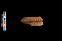 藏品(繩紋罐口)的圖片