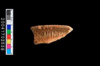 藏品(繩紋罐口)的圖片