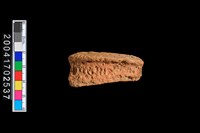 藏品(繩紋罐口)的圖片