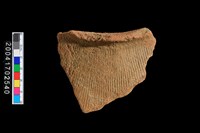 藏品(繩紋罐口)的圖片