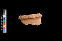 藏品(罐口)的圖片