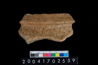 藏品(罐口)的圖片