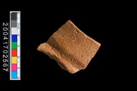 藏品(罐口)的圖片