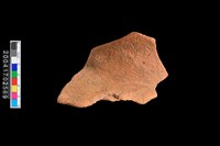 藏品(罐口)的圖片