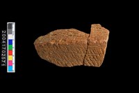 藏品(繩紋折肩)的圖片