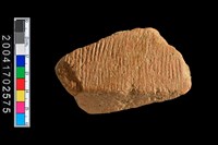 藏品(繩紋折肩)的圖片